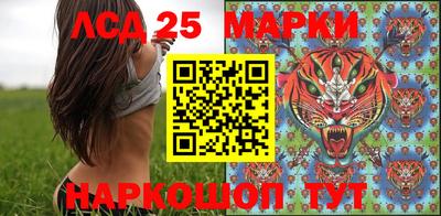 гашик Михайловка