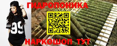 гашик Михайловка