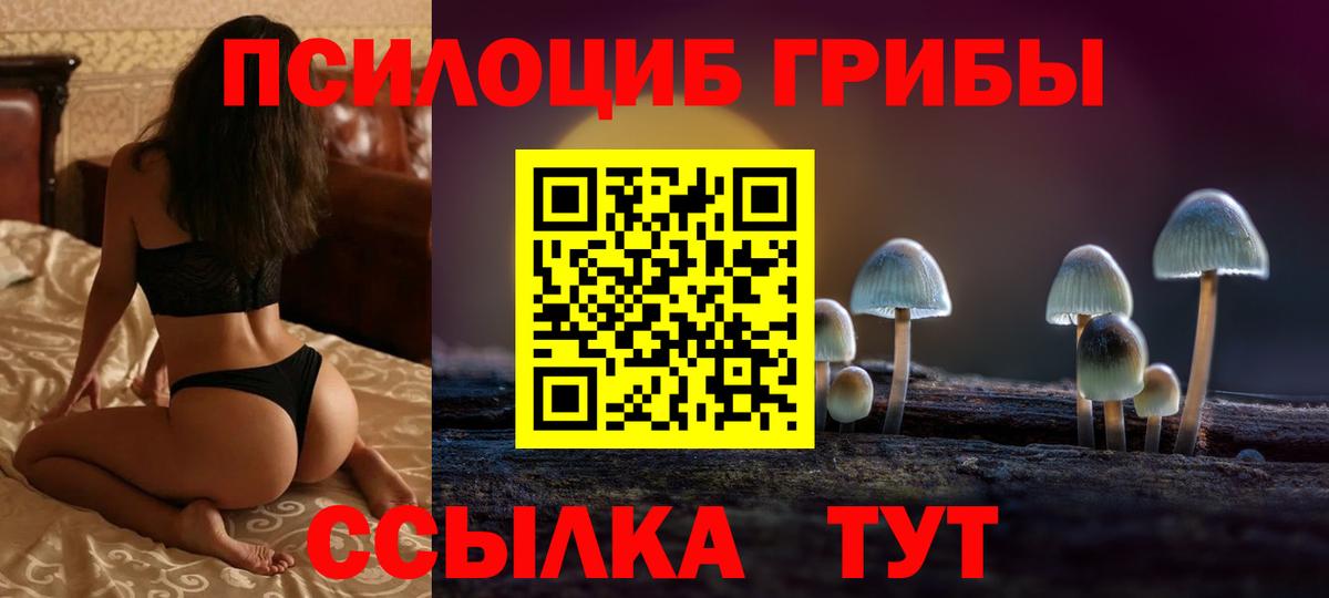 Галлюциногенные грибы Magic Shrooms Прохладный